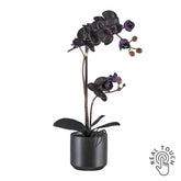 Fekete mű orchidea Real Touch hatással fekete kerámia kaspóban